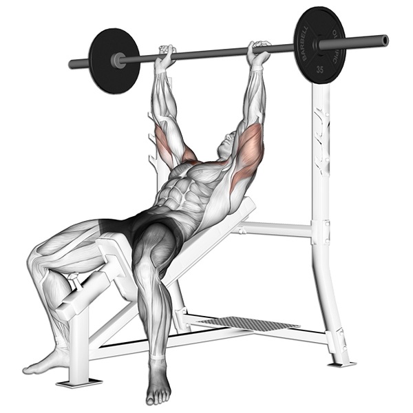 bai-tap-incline-barbell-bench-press